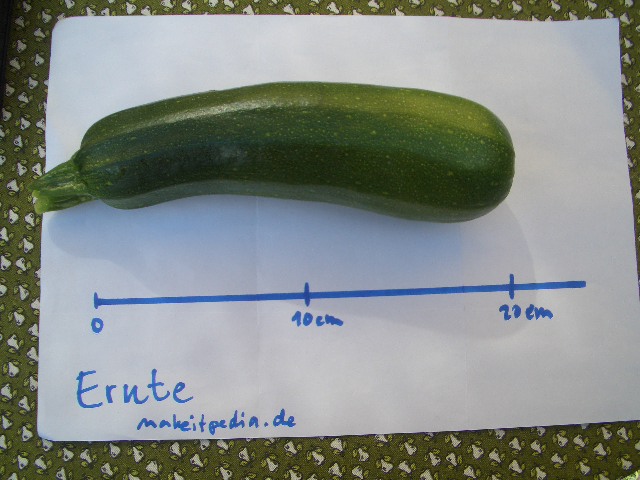 Datei:Ernte KW 29 Zucchini 0,2 kg.JPG